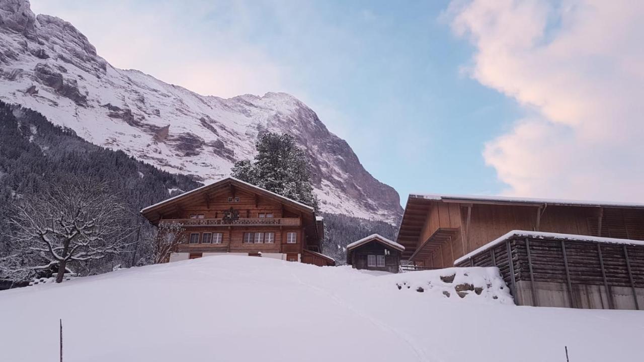 Chalet Bei Der Arve Γκρίντελβαλντ Εξωτερικό φωτογραφία