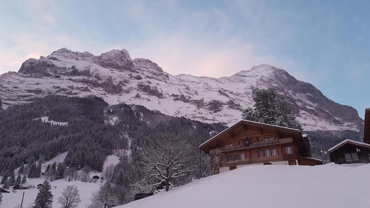 Chalet Bei Der Arve Γκρίντελβαλντ Εξωτερικό φωτογραφία